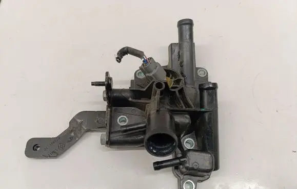 Thermostat/thermostat housing