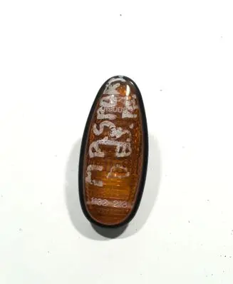 Front fender indicator light