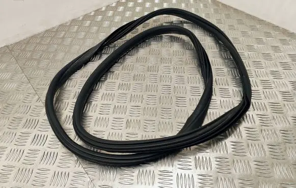 Rear door rubber seal (on body)