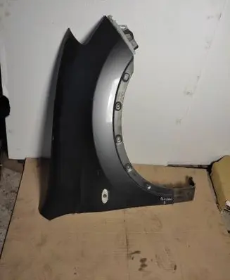 Fender