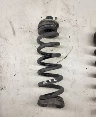 Rear coil spring