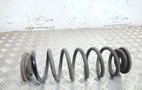 Volkswagen PASSAT B7 Rear coil spring