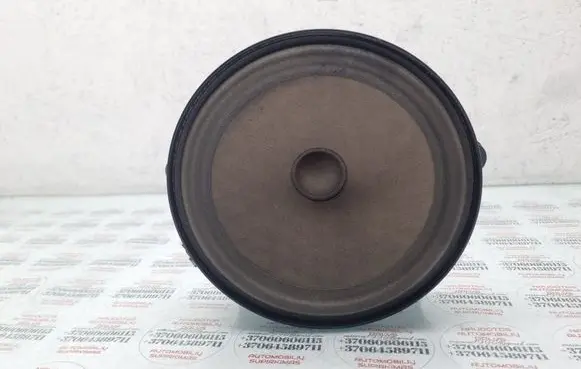Front door speaker