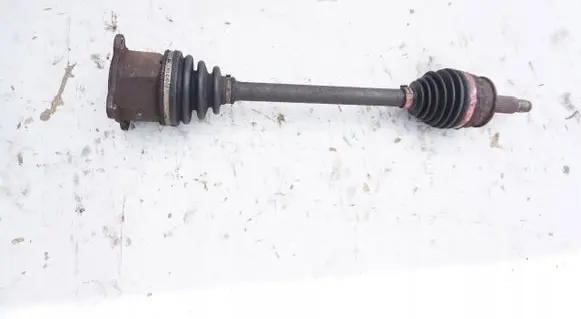 Rear coil spring