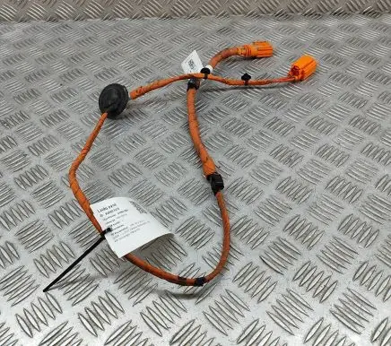 Volkswagen ID.4 Other wiring loom 1EA971475E