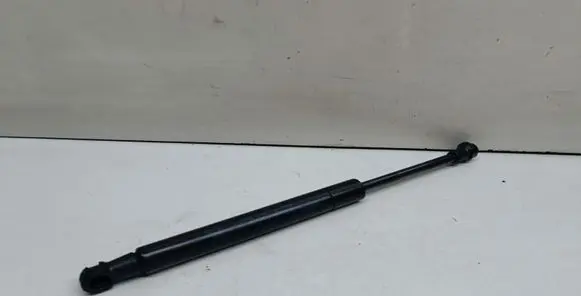 Tailgate/trunk strut/damper
