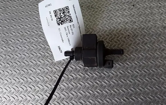 KIA Rio Valve vacuum 