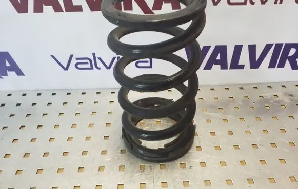 Mitsubishi Grandis Rear coil spring
