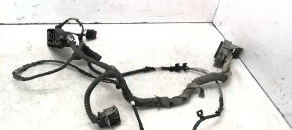 Engine installation wiring loom