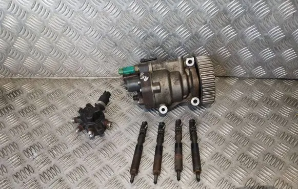 Renault Megane II Fuel injection system set EJBR01801Z 8200206565 8200049873