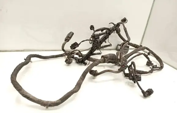 Volkswagen PASSAT B7 Engine installation wiring loom 3C0906379 03L971824E