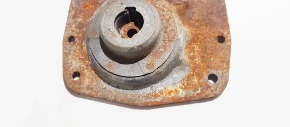 Coil spring mount