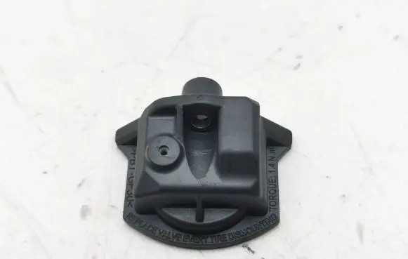 Renault Megane E-Tech Tire pressure sensor A2C19969004