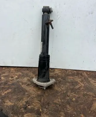 BMW X5 E70 Rear shock absorber/damper HR678193201 22244970