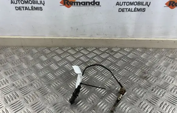 Opel Zafira C Exhaust gas temperature sensor 55566185