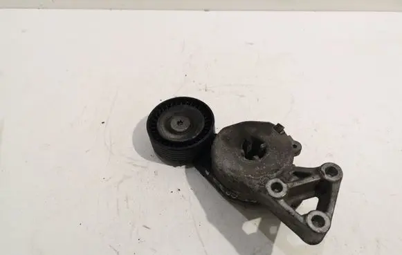 Volkswagen Bora Generator/alternator belt tensioner 06A903315E