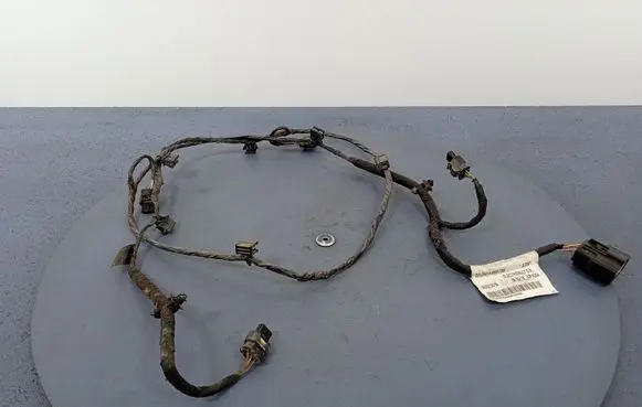 Volvo S90, V90 Other wiring loom 31848786