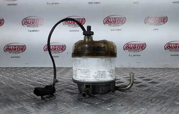 Chrysler Voyager Fuel filter 