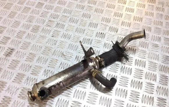 EGR valve cooler