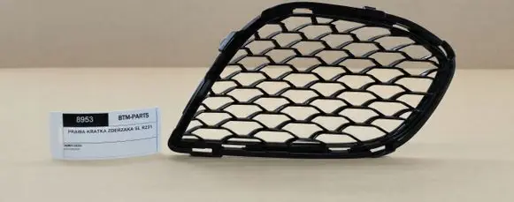 Mercedes-Benz SL R231 Front bumper lower grill