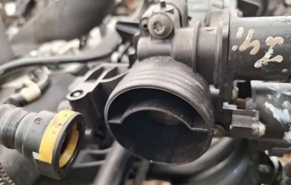 Peugeot 206 Throttle valve 29090410094