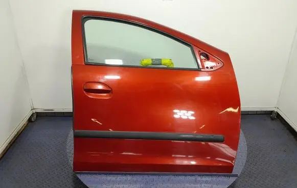 Dacia Sandero Front door