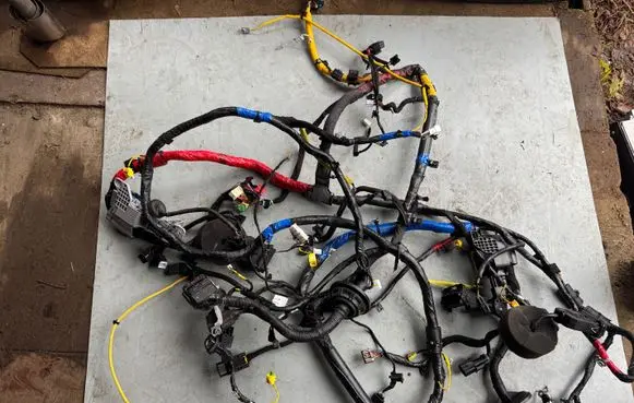 Other wiring loom