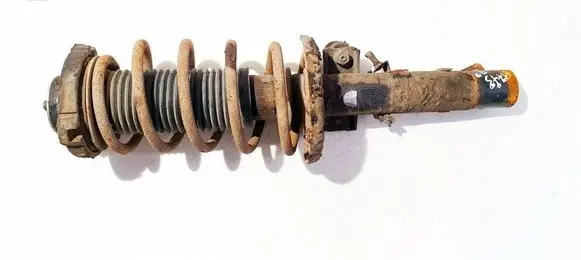 Skoda Praktik (5J8) Front shock absorber/damper