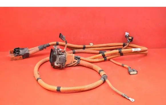 Other wiring loom