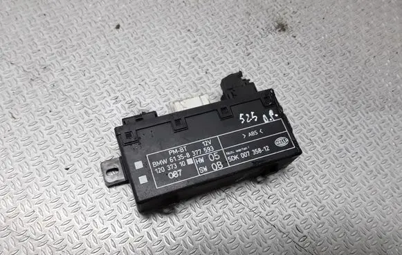 BMW 5 E39 Other control units/modules 61358377593 5DK00735812 12037310