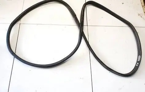 Citroen C2 Rubber seal front coupe door 