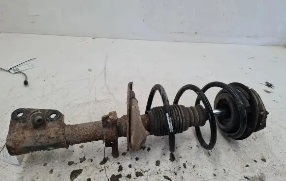 Renault Laguna II Front shock absorber/damper