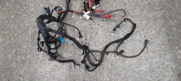 Renault Twingo II Front door wiring loom/harness boot 8200804175