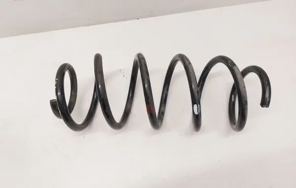 Front coil spring