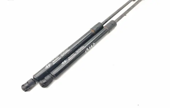 Tailgate/trunk strut/damper