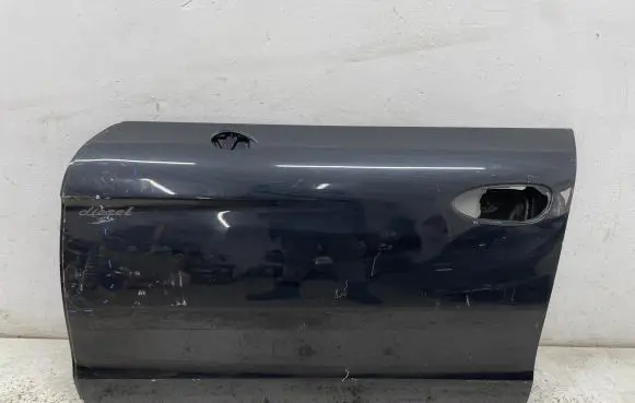 Porsche Panamera (970) Front door 97053720100
