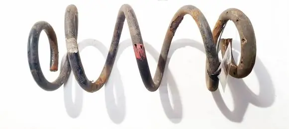 Rear coil spring