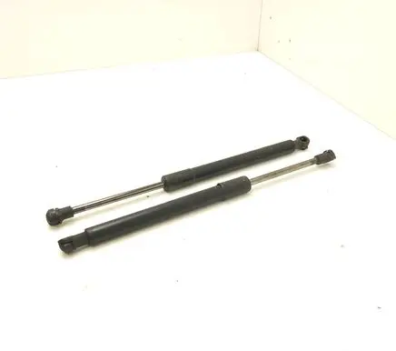 Chevrolet Epica Tailgate/trunk strut/damper 96636674
