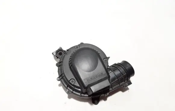 Renault Zoe Other devices 290924004R