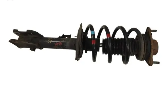 Hyundai Santa Fe Front shock absorber with coil spring 