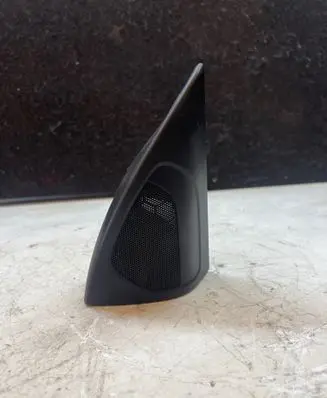 Front door speaker