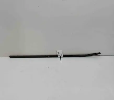 BMW X6 E71 Door glass trim 7187216