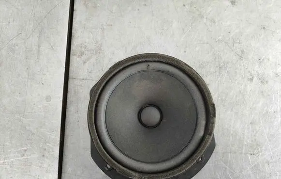 Tesla Model S Front door speaker 100483302A