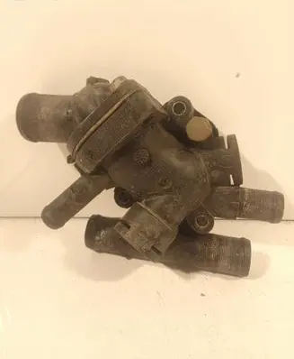 Thermostat/thermostat housing