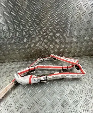 Roof airbag
