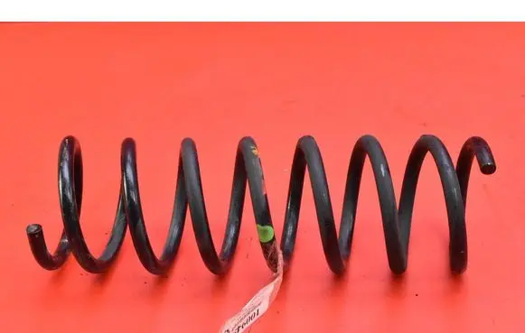 Rear coil spring