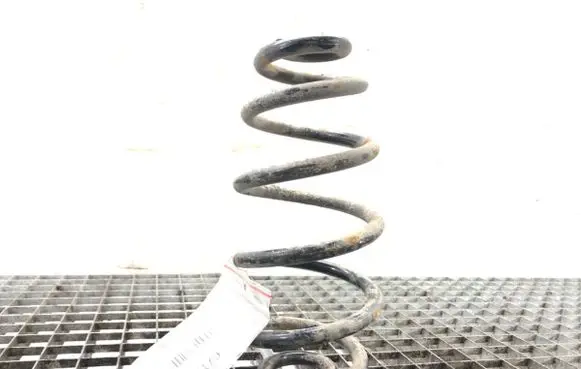 Rear coil spring