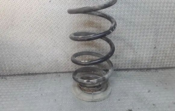 Rear coil spring