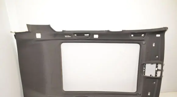 BMW iX3 G08 Headlining 7206889