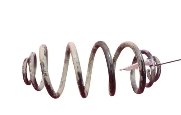 Rear coil spring